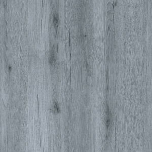 Alstonia Grey