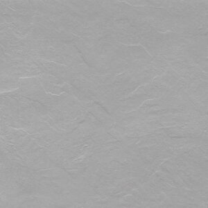 Silver Wave