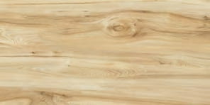 Divine Wood Olive