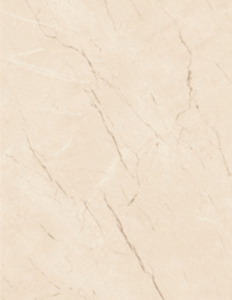 Iconic Beige