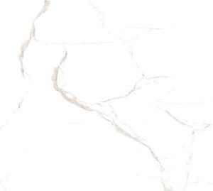 Roma White