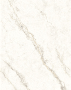 Signite White