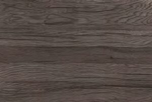Forest Dark