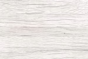 Olivo Silver