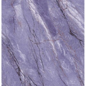 Astana Purple