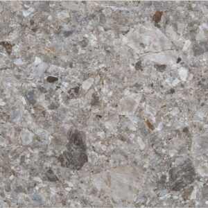 Fossil Grus