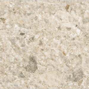 Fossil Oken