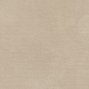 Reno Almond - D1
